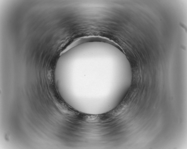 X0000094970088200712271752