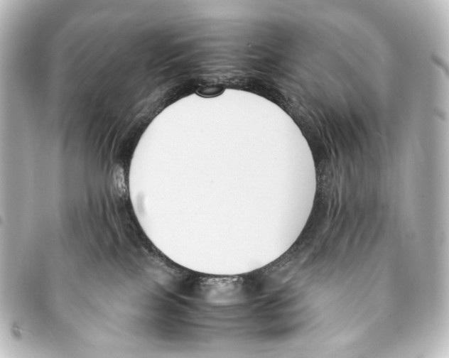 X0000094970089200712271752