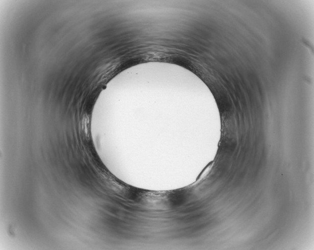 X0000094970094200712271752