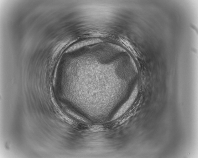 X0000094970097200712271751