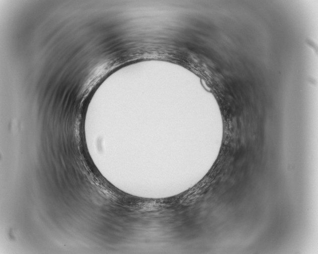 X0000094970098200712271751
