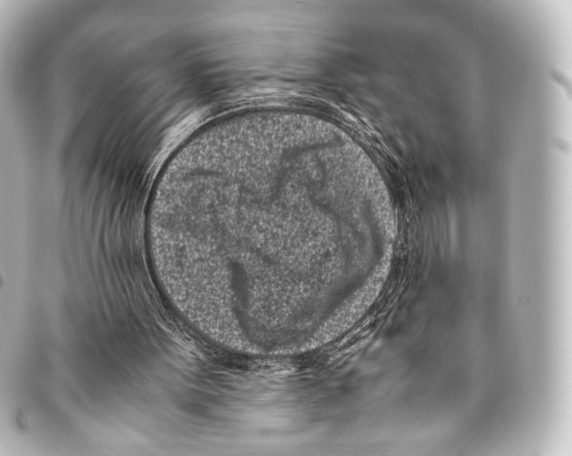 X0000094970099200712271751