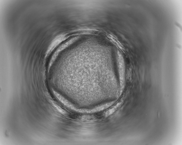 X0000094970101200712271751