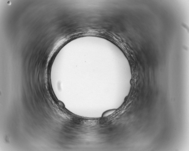 X0000094970102200712271751