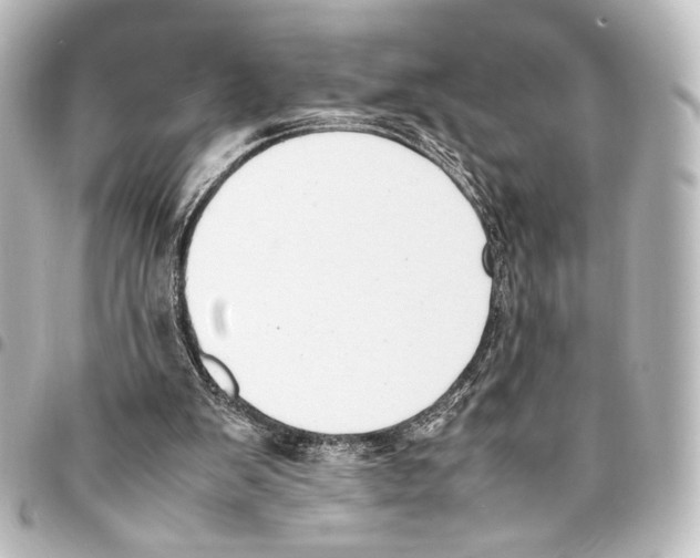X0000094970103200712271751