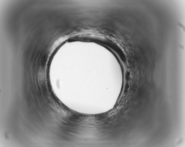 X0000094970104200712271751
