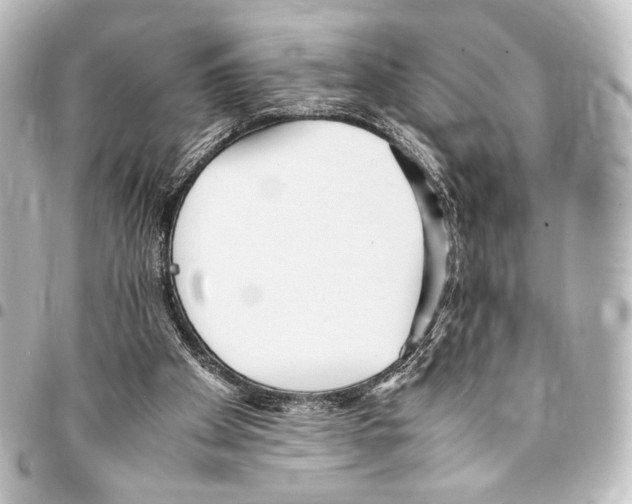 X0000094970105200712271751