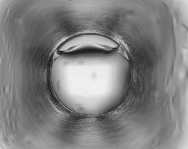 X0000094970108200712271751