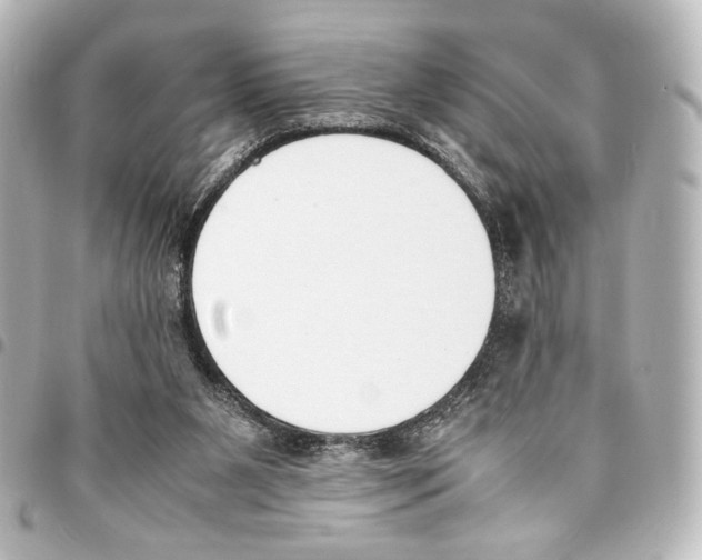 X0000094970111200712271751