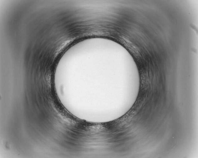 X0000094970112200712271751
