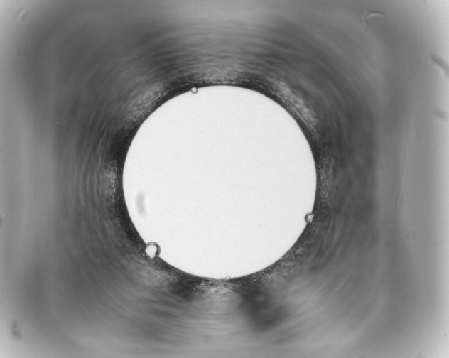 X0000094970113200712271751