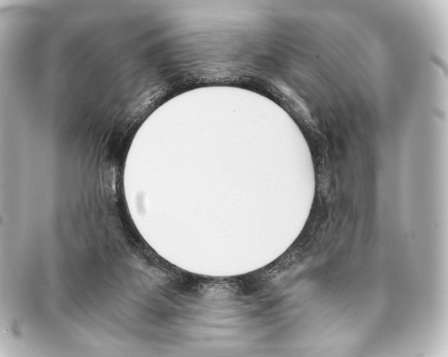 X0000094970115200712271751
