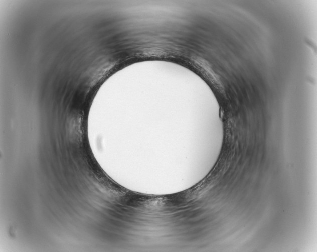 X0000094970116200712271751