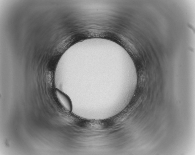 X0000094970121200712271751