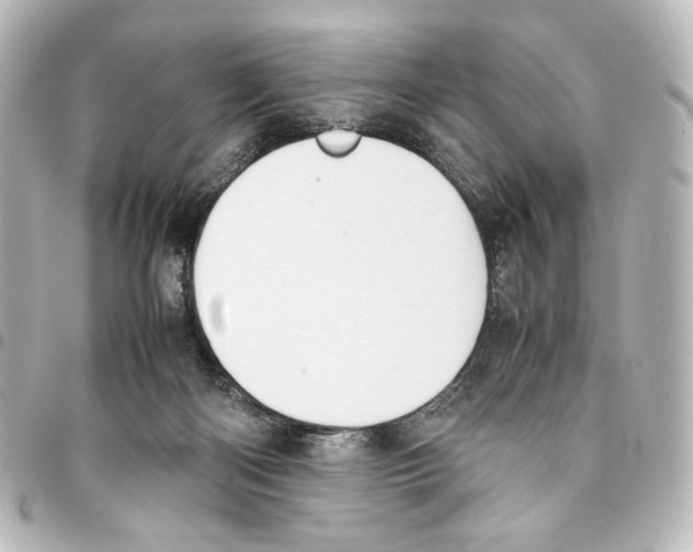 X0000094970122200712271751