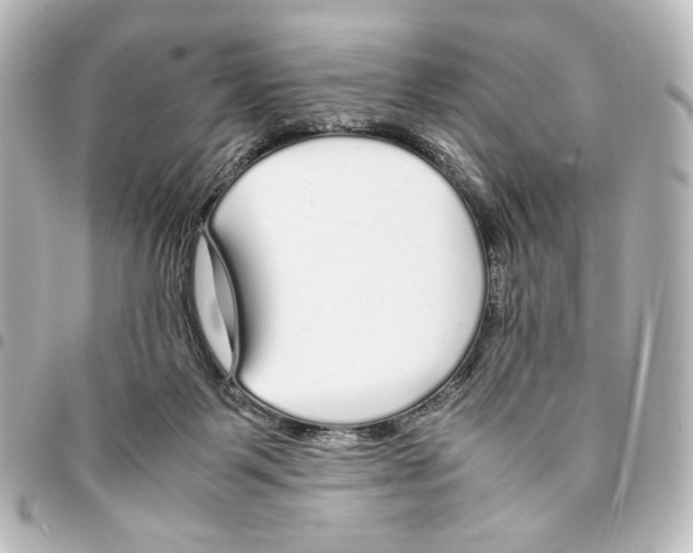 X0000094970123200712271751