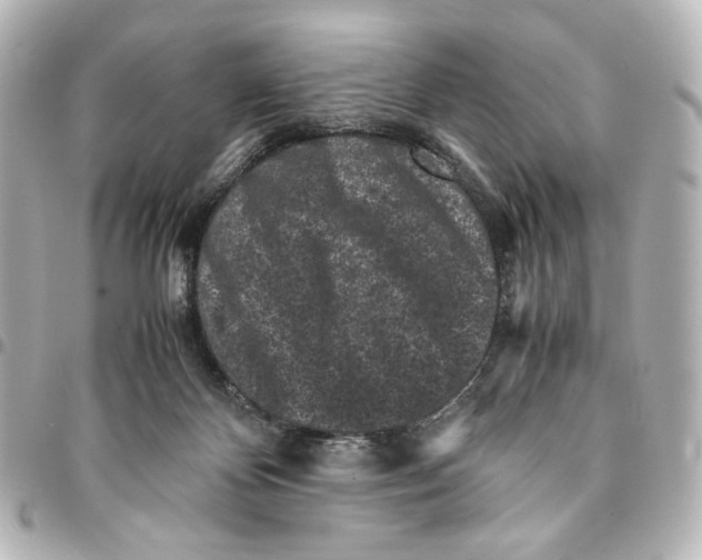 X0000094970124200712271751