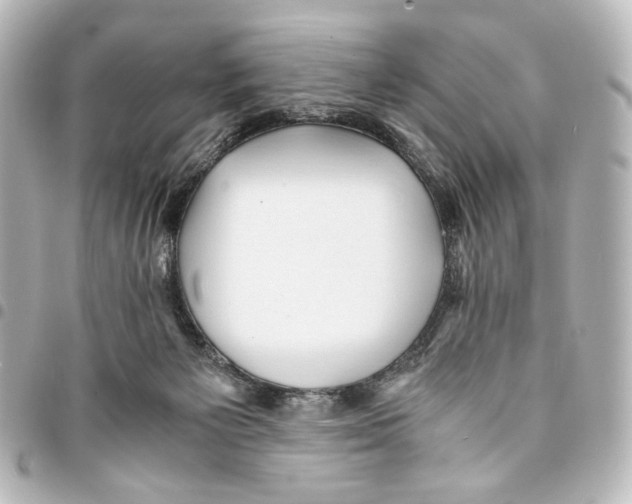 X0000094970125200712271751