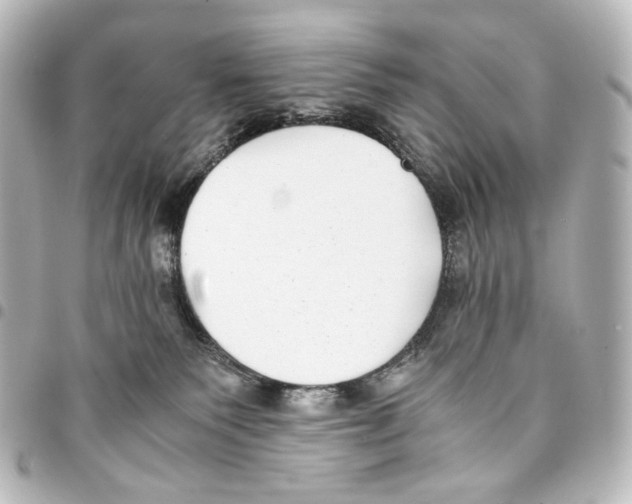 X0000094970135200712271751