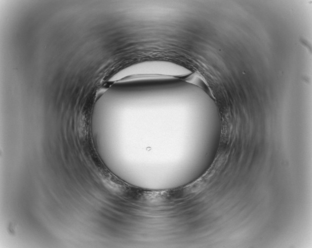 X0000094970136200712271751