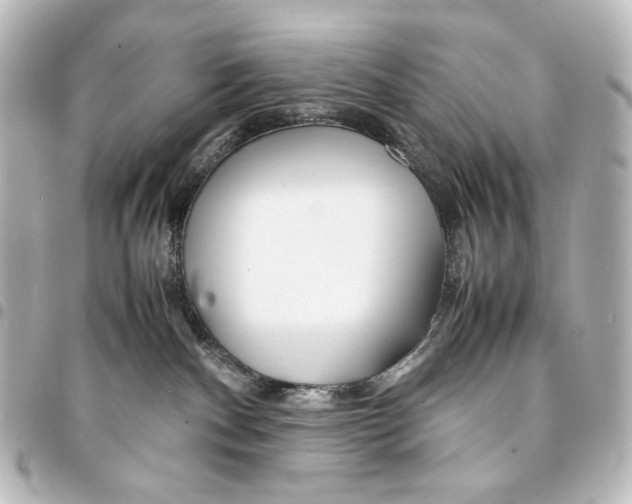 X0000094970140200712271751