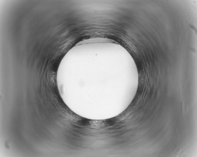 X0000094970141200712271751