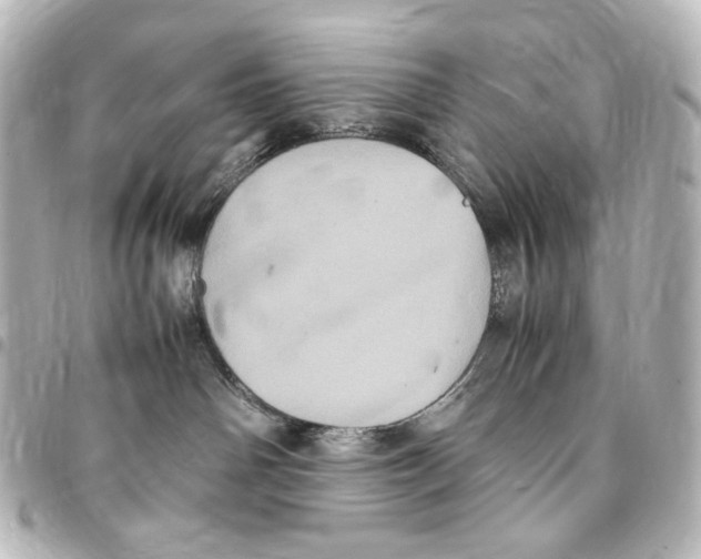 X0000094970142200712271751