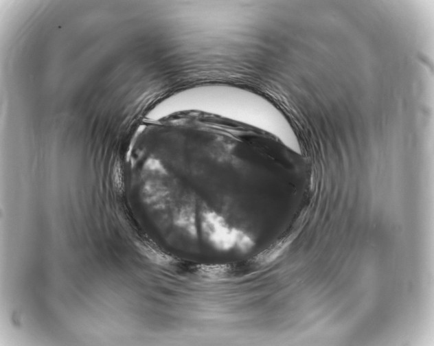 X0000094970143200712271751