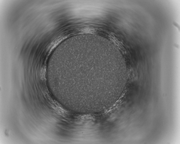 X0000094970146200712271750