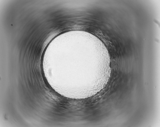 X0000094970147200712271750