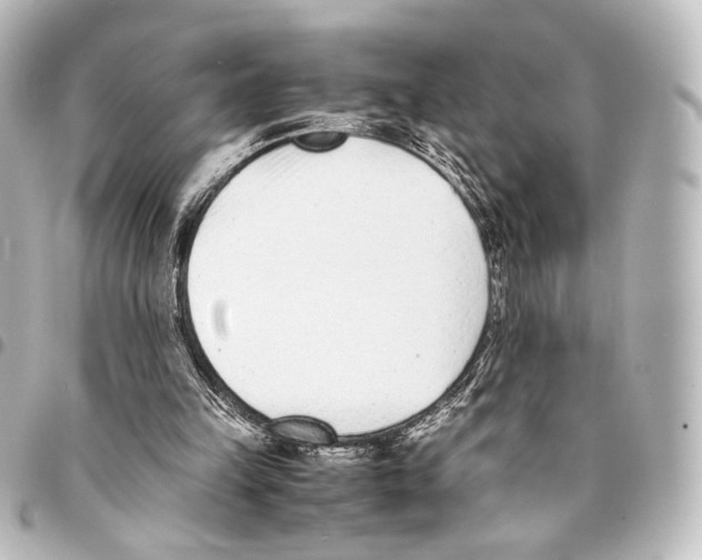 X0000094970149200712271750