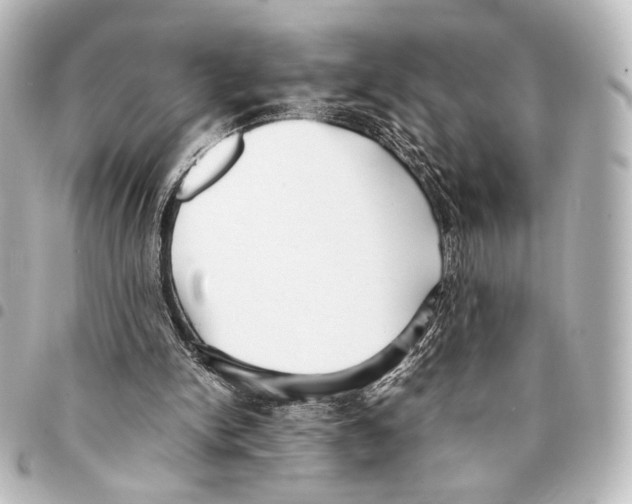 X0000094970150200712271750
