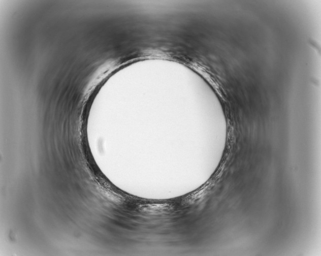 X0000094970151200712271750