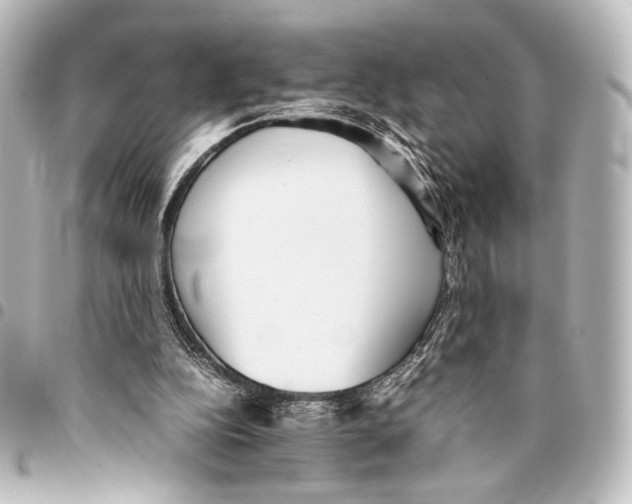 X0000094970152200712271750