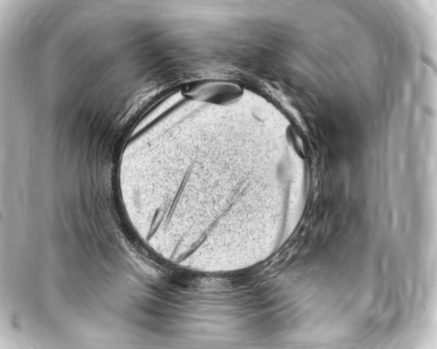 X0000094970154200712271750