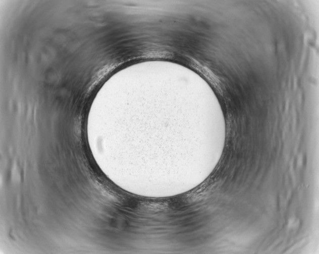 X0000094970155200712271750