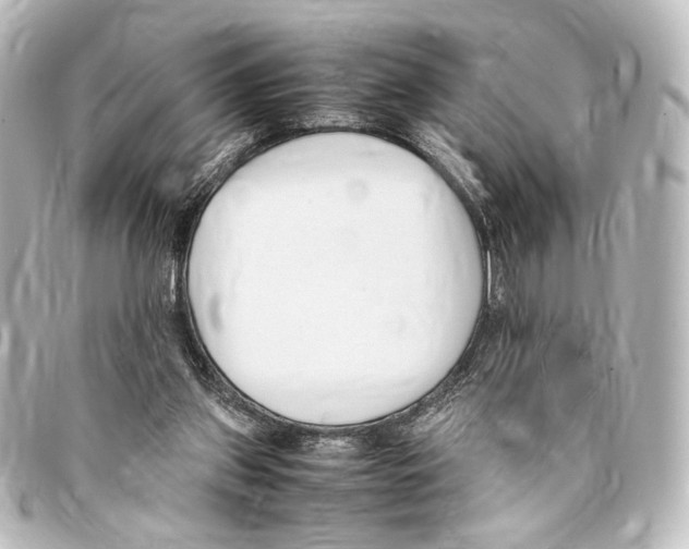 X0000094970157200712271750
