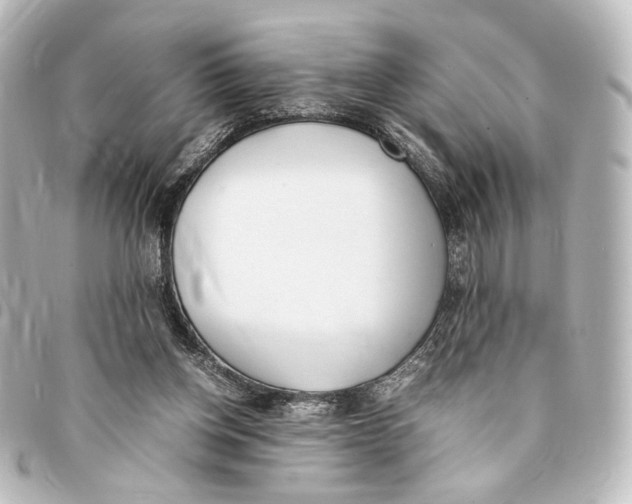 X0000094970158200712271750