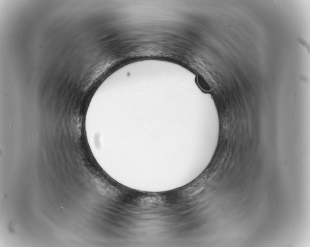X0000094970160200712271750