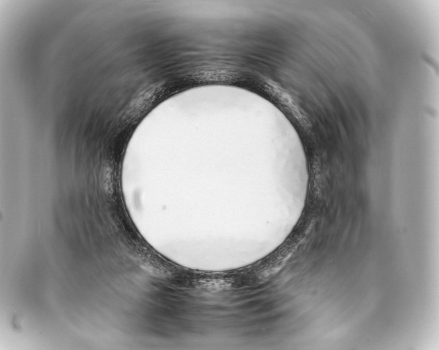 X0000094970161200712271750