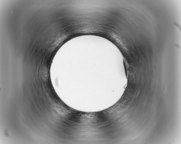 X0000094970164200712271750