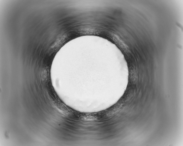 X0000094970165200712271750