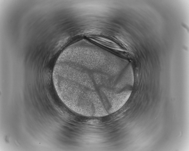 X0000094970168200712271750