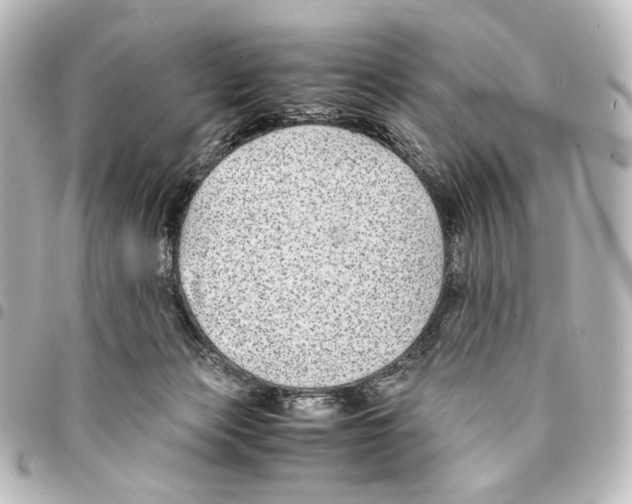 X0000094970173200712271750