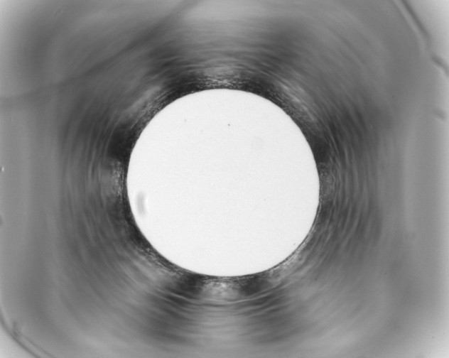 X0000094970174200712271750