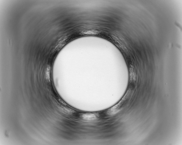 X0000094970175200712271750