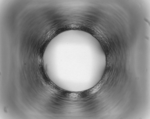 X0000094970176200712271750
