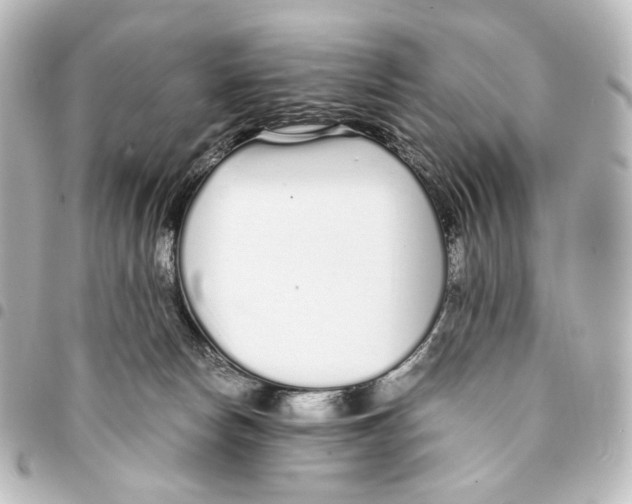 X0000094970178200712271750