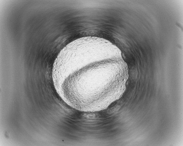 X0000094970181200712271751