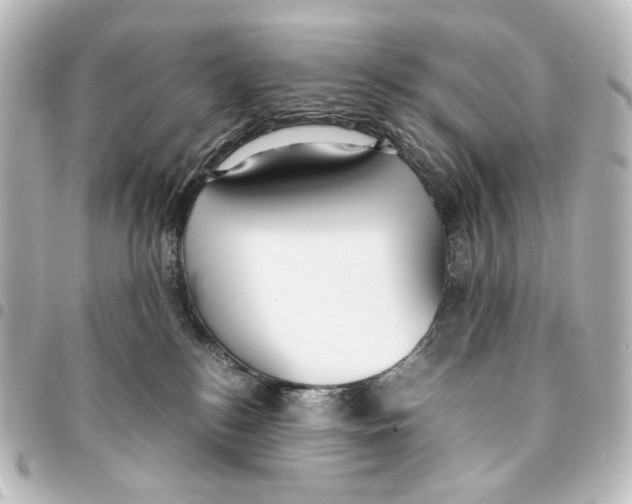 X0000094970184200712271751
